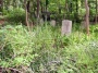 #33.00 Corwin Cemetery, 2008