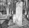 #33.00a Corwin Family Cemetery, 1958
