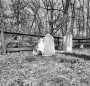 #33.00b Corwin Family Cemetery, 1958