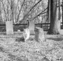 #33.00c  Corwin Family Cemetery, 1958