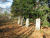 #32.00  Miller Family Cemetery, November 2005