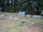 #003.Woodruff00.  Charles Minor Woodruff plot